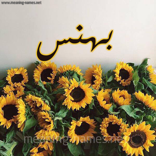 شكل 17 صوره دوار الشمس للإسم بخط رقعة